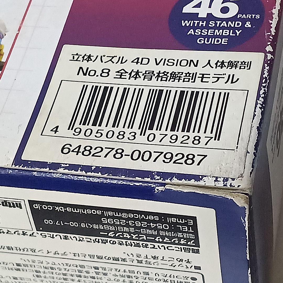立体パズル 4D VISION 人体解剖 No.08 全身骨格解剖モデル　模型