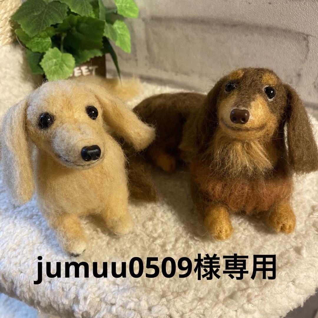 羊毛フェルト　ミニチュアダックス　犬