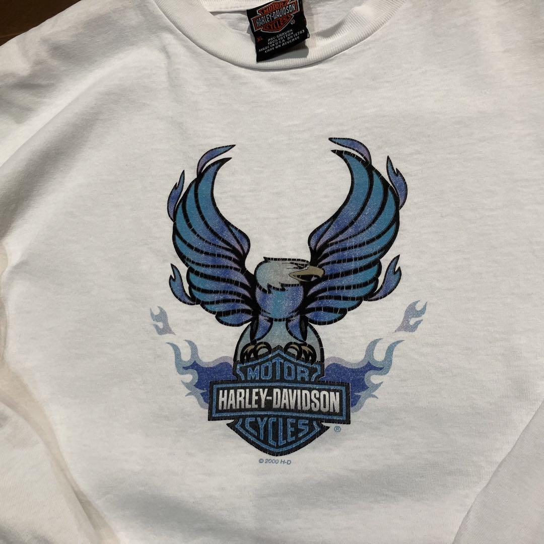 USA製 HarleyDavidson ブルーフレイム ロンT ハーレーTシャツ