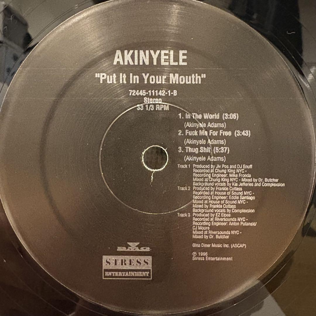 AKINYELE ほぼ新品2枚セット