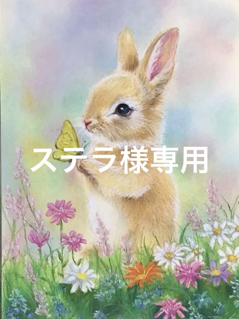 garden rabbit ハンドメイドパステル画　絵画アート原画