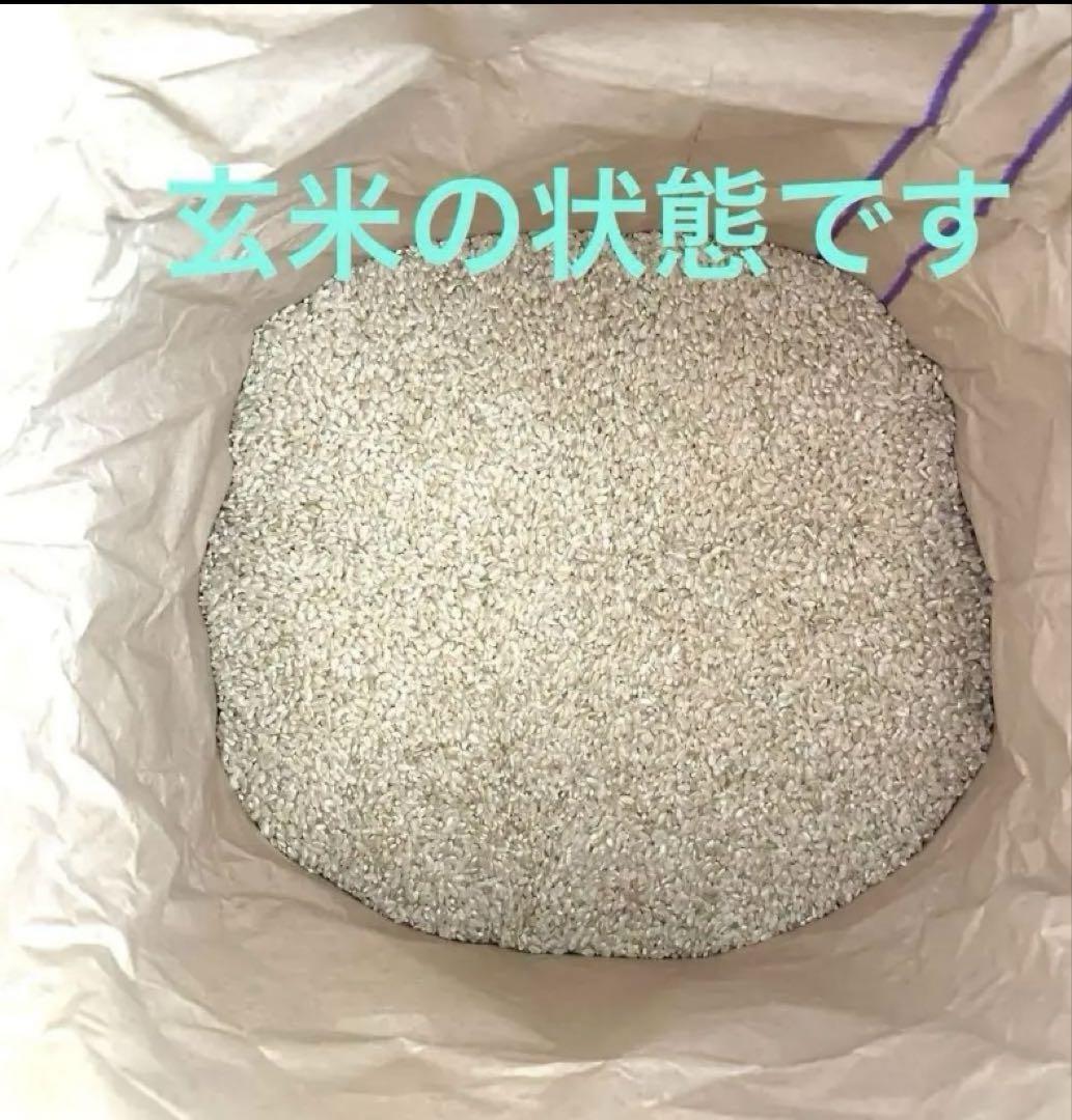 ☆令和6年度の新米あきたこまち玄米10キロです！