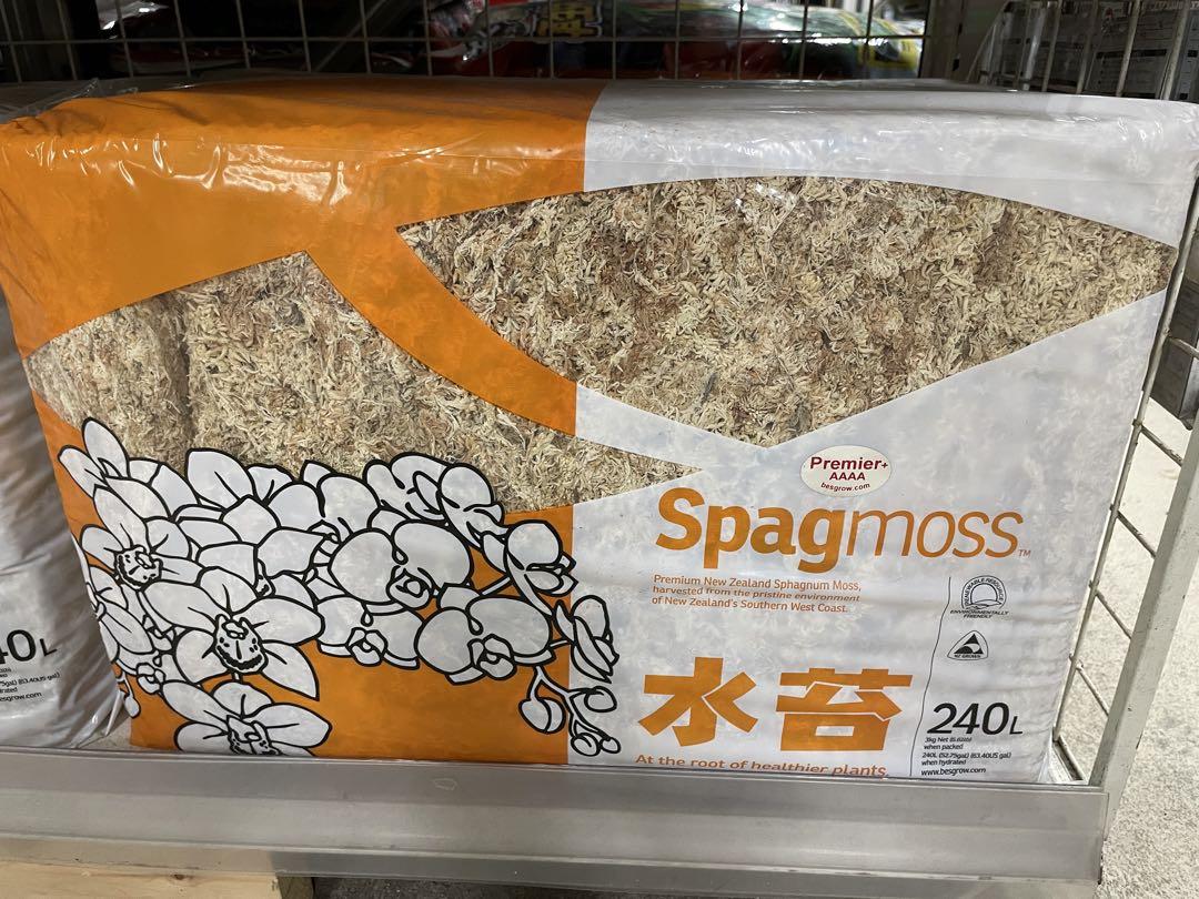 最高級ニュージーランド産　AAAAグレード240L(3kg)※お値下げ不可