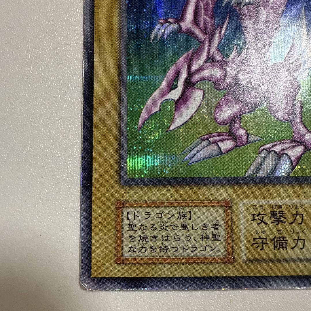 ホーリーナイトドラゴン