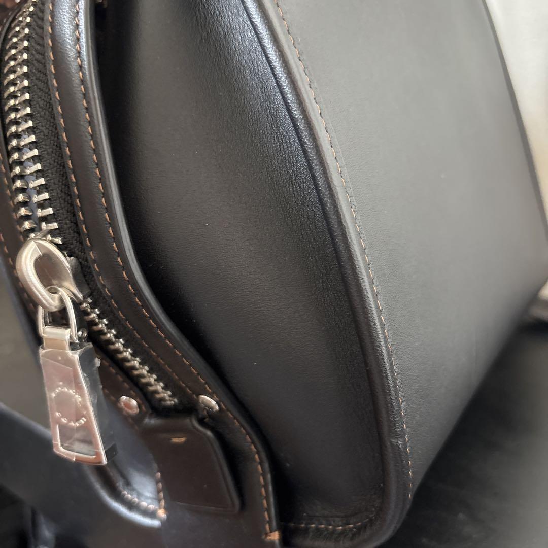 極美品 希少 COACH コーチ ローグ　ティーローズ 20 バッグ　CH364 極美品 希少 COACH コーチ ローグ ティーローズ 20 バッグ CH364