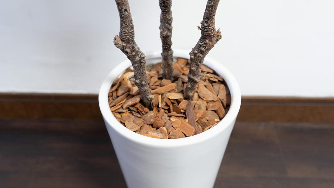 GREENPARK マグノリア H120cm 観葉植物 フェイクグリーン １ GREENPARK マグノリア H120cm 観葉植物 フェイクグリーン 1