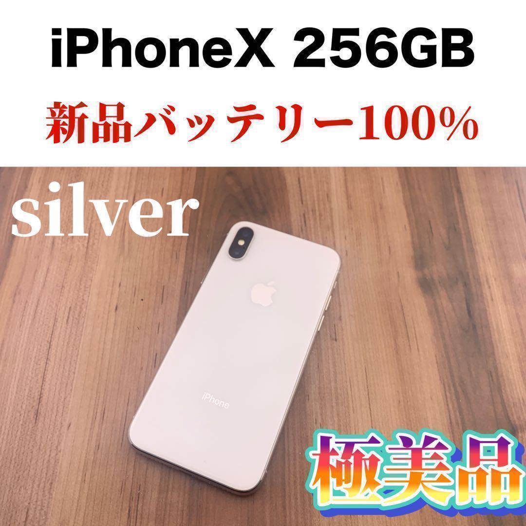 18iPhone X Silver 256 GB SIMフリー本体