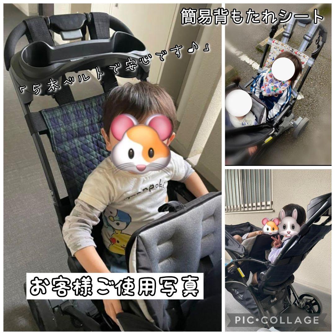 【ラピス様オーダーページ】