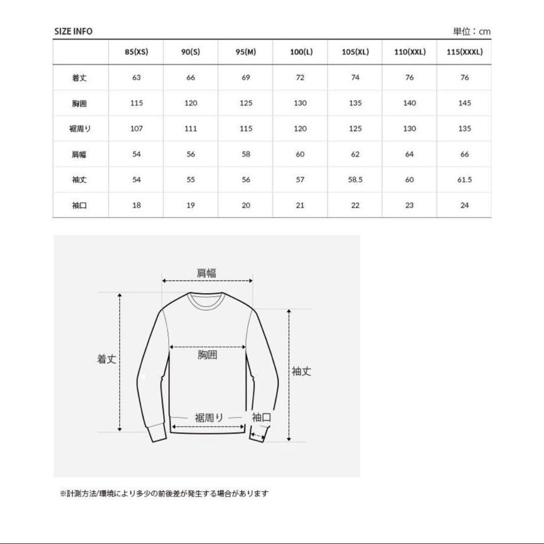 正規 新品✨ノースフェイス アイスラン Vクルーネック ライトブルー L相当