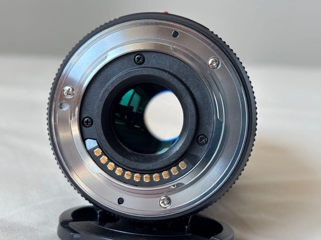 LUMIX 45-175mm ズームレンズ