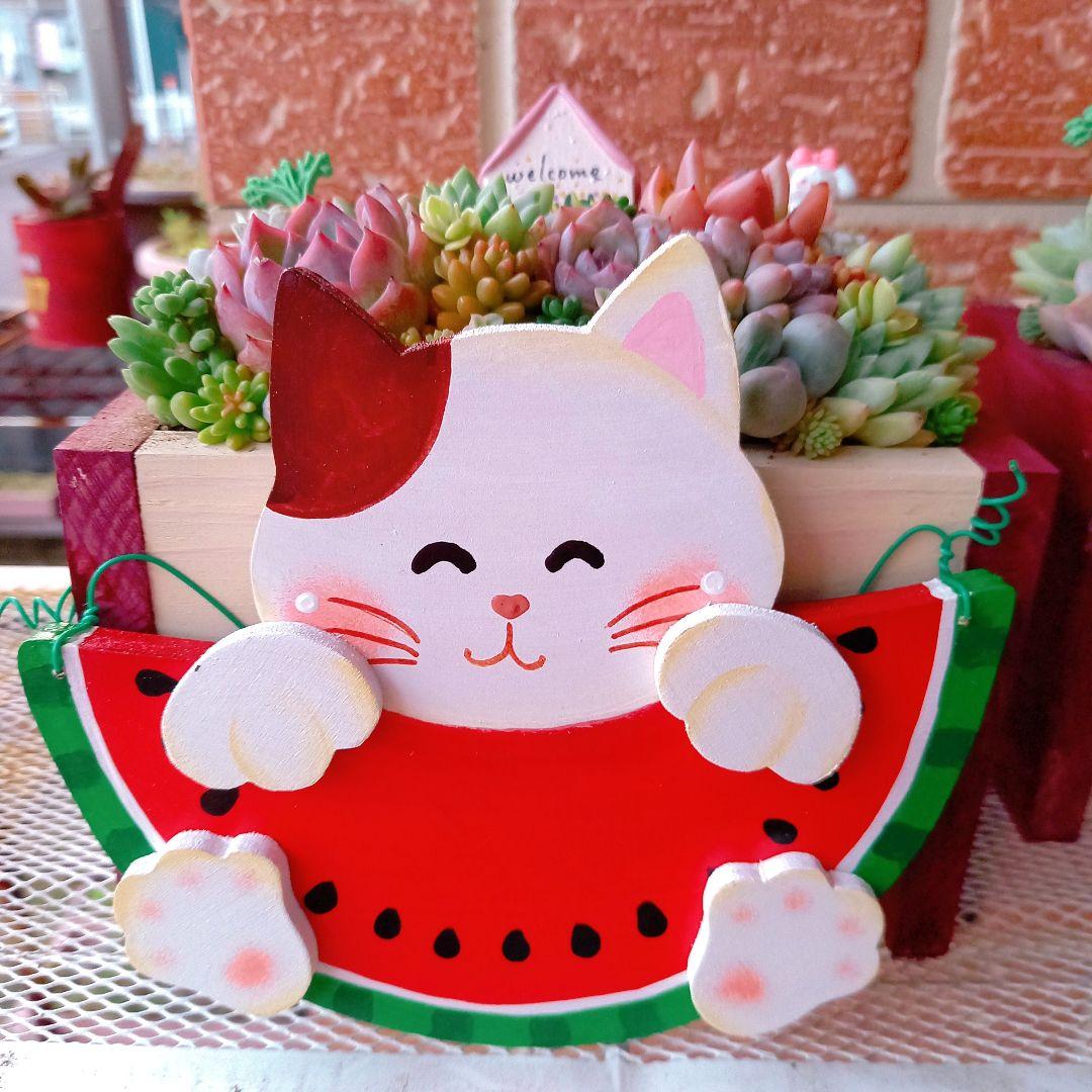 ❤️多肉植物❤️そのまま飾れる寄せ植え❤️スイカねこちゃん汽車❤️ ❤️多肉植物❤️そのまま飾れる寄せ植え❤️スイカねこちゃん