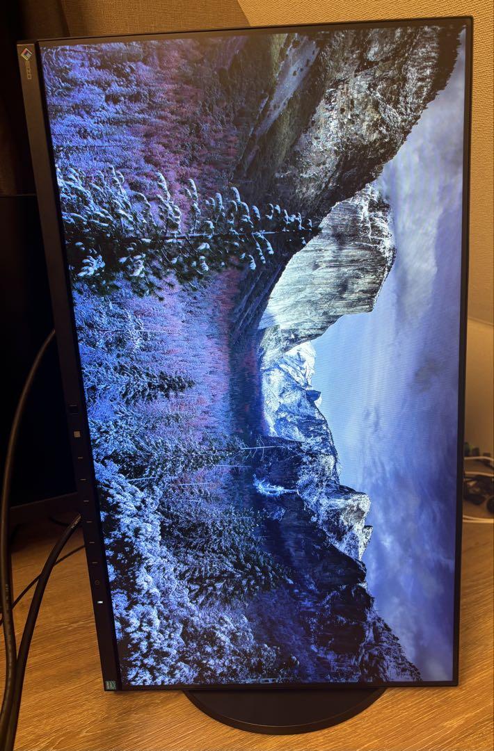 EIZO EV2450 23.8インチ ブラック FlexScan
