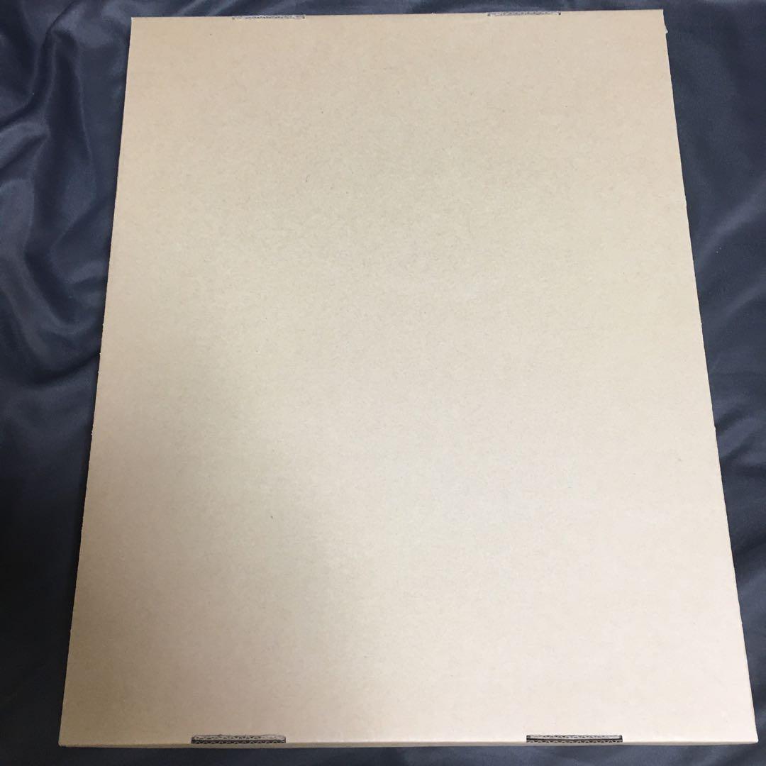 未開封品 ライザのアトリエ ライザ A4 キャラファイングラフ 複製原画