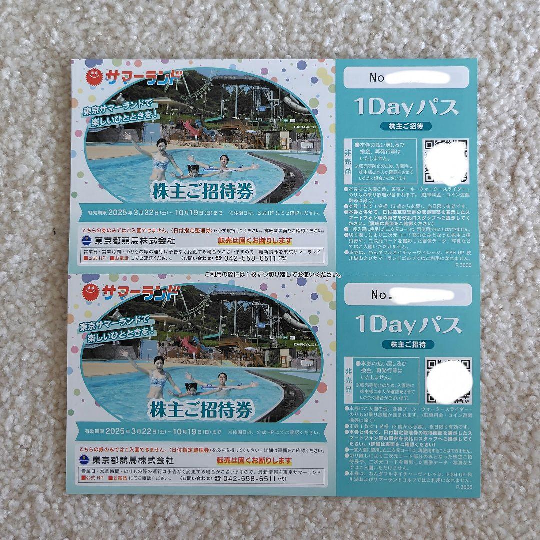 東京サマーランド 1Dayパス 招待券2枚