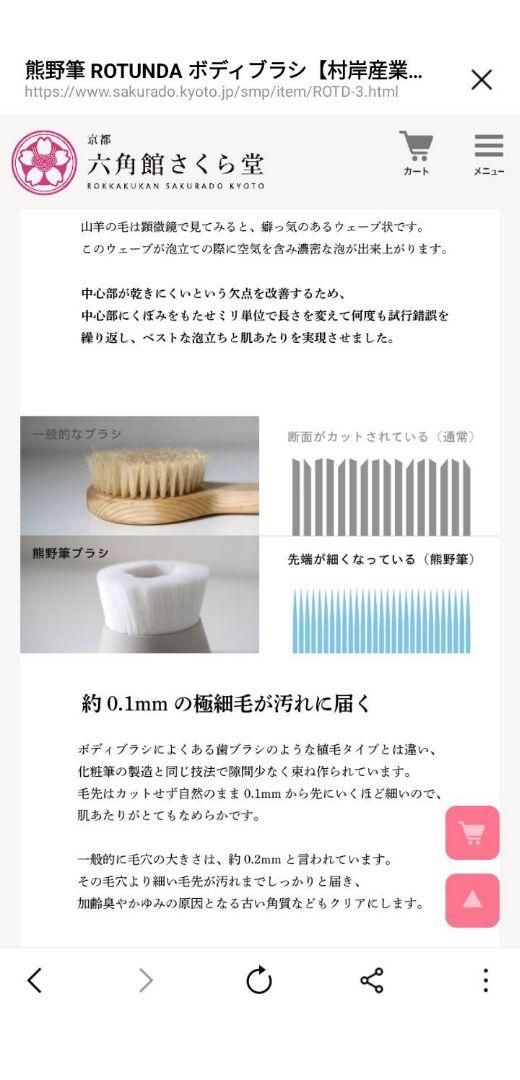 ボディブラシ