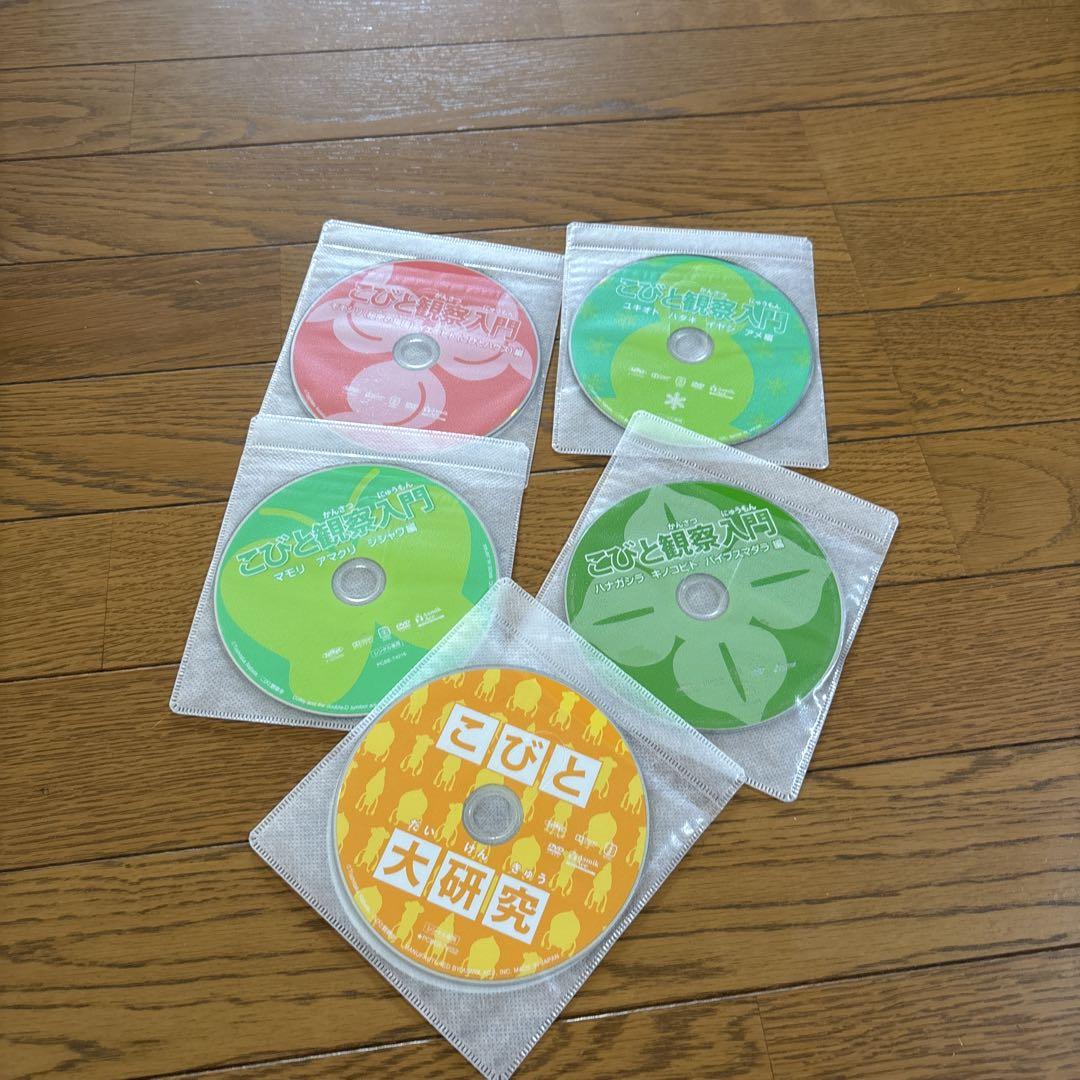 こびと観察入門 全9巻+こびと大研究 DVD 計10巻セット レンタル