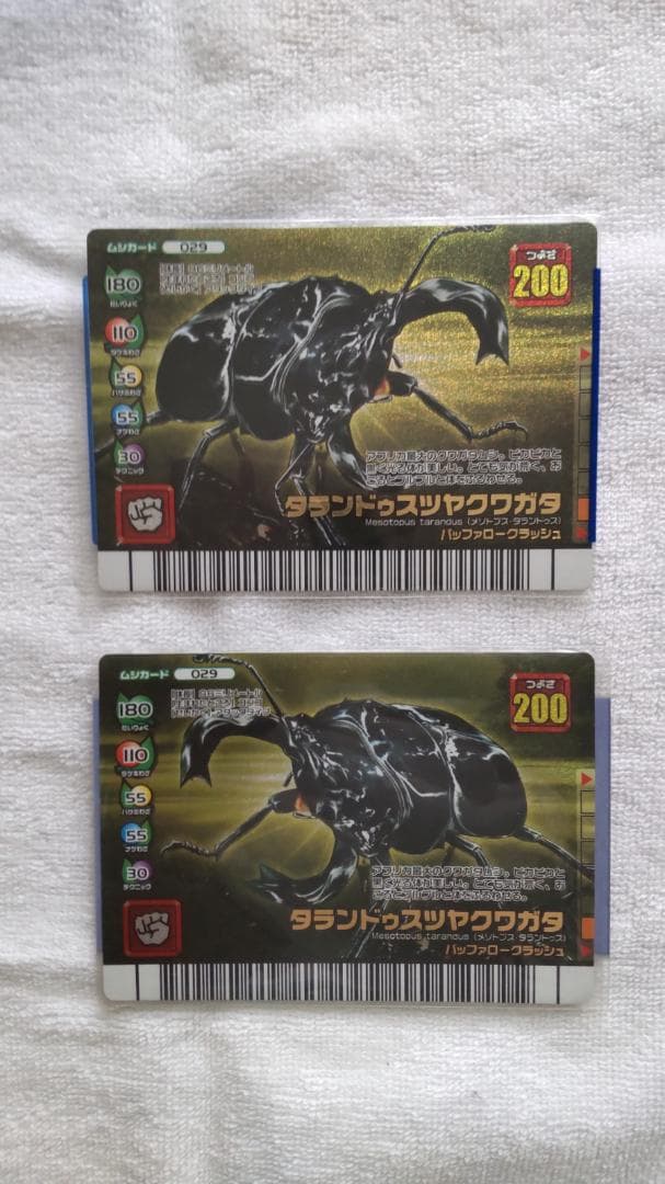 ムシキングカード【FG】タランドゥスオオツヤクワガタ2枚セット 【即