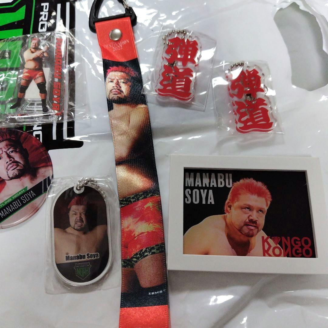 プロレスリング・ノア