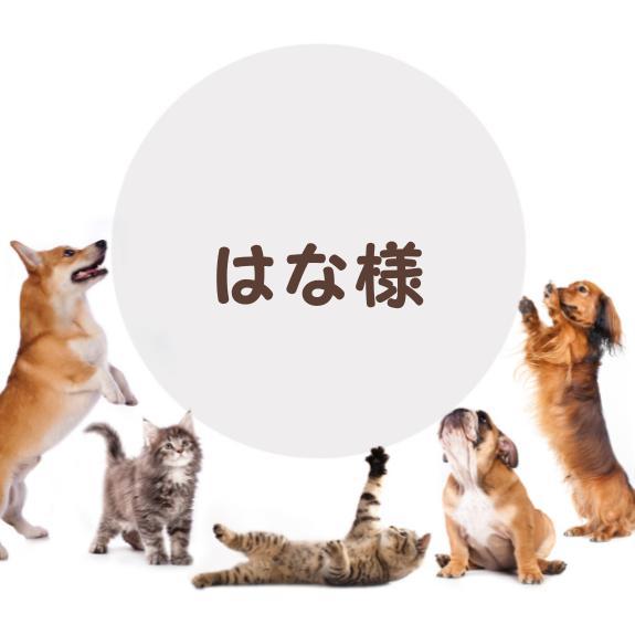 専用ページ