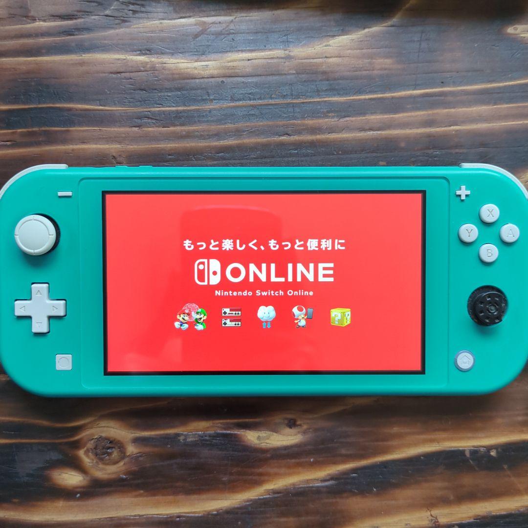 Nintendo Switch Lite 本体 ジャンク品 ケース付き Nintendo Switch Lite 本体 ジャンク品 ケース付き