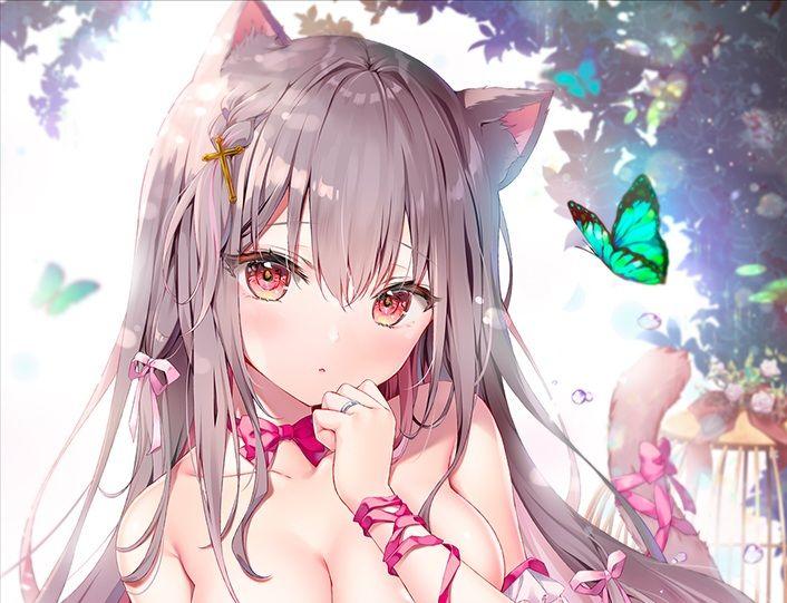 kino underwears6 B0タペストリー　差分　うりぼうざっか店