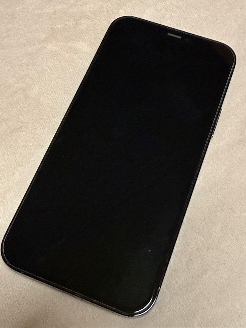 Apple iPhone 12 Pro 256GB グラファイト