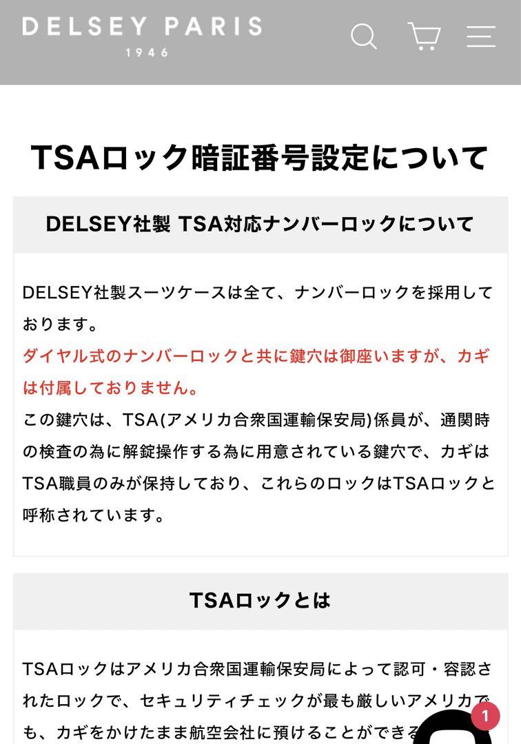 DELSEY CHATELET AIR 2.0 機内持ち込み S 55CM