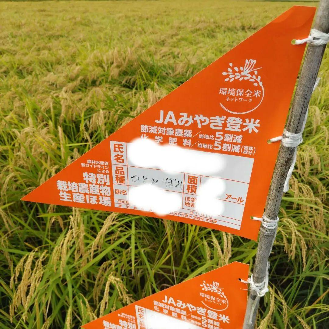 令和6年宮城県登米市産ひとめぼれ精米20キロ