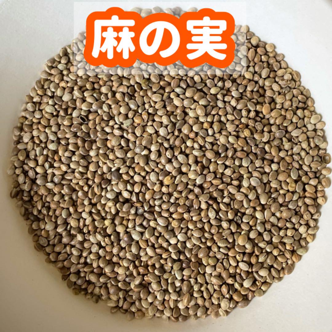 【シルバ】鳥の餌セット