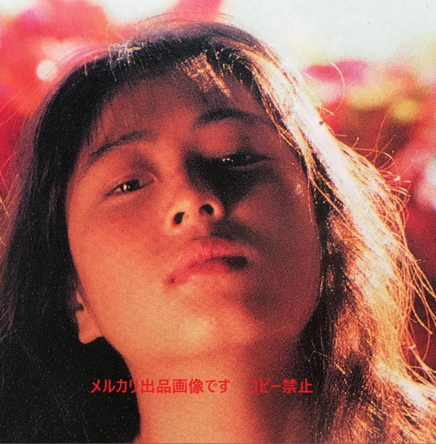 ☆ZARD 坂井泉水さん　歌手デビュー前　「色紙」 ☆ZARD 坂井泉水の歌手デビュー前の蒲池幸子さん「ブブカ