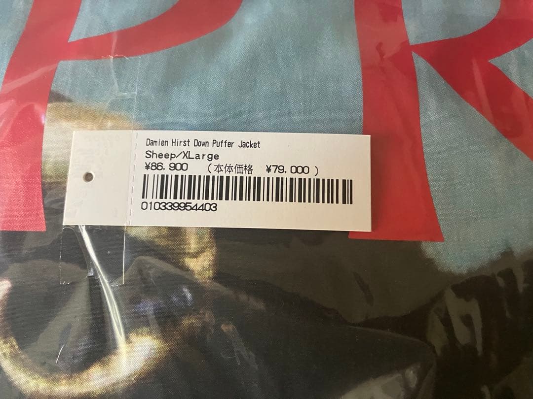 SUPREME Damien Hirst ダウンパファージャケット XL