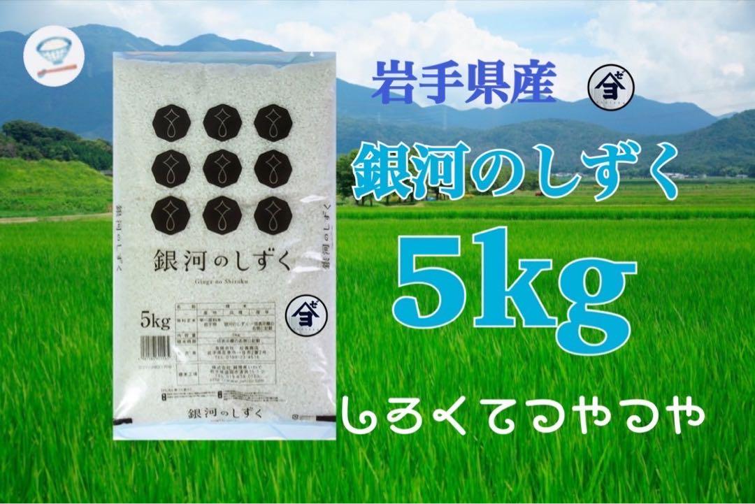 お米　精米【岩手県産銀河のしずく5kg 】（5kg×1) 7年連続特A！