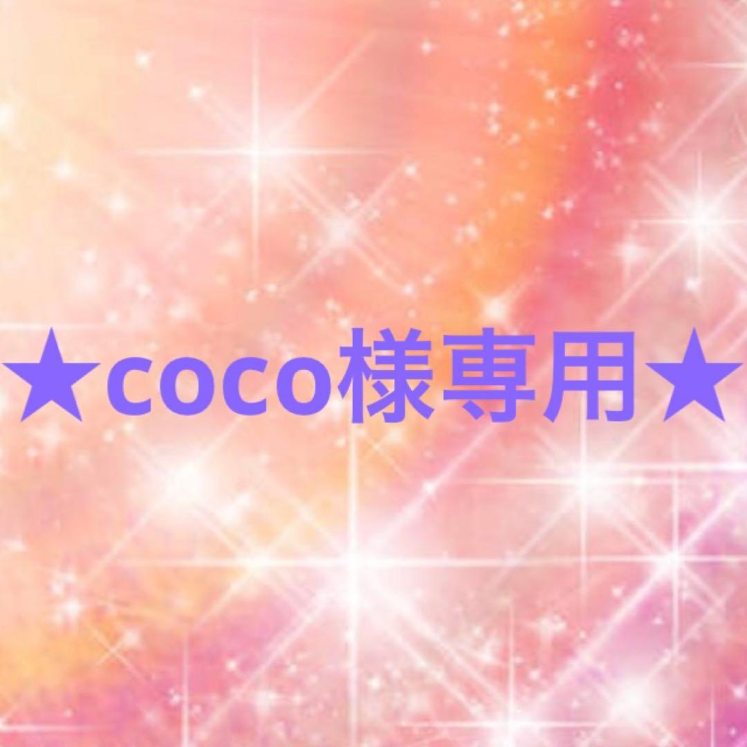 超激安 coco 下着 - ruralengagementproject.com
