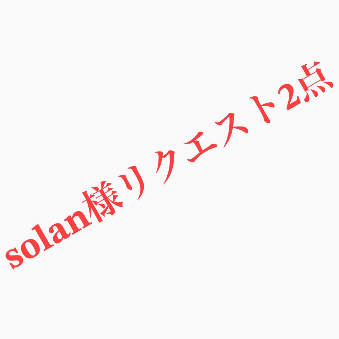 solan様 リクエスト 2点 まとめ商品