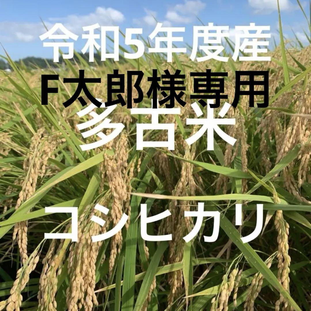 幻の米 多古米 コシヒカリ　玄米　30kg