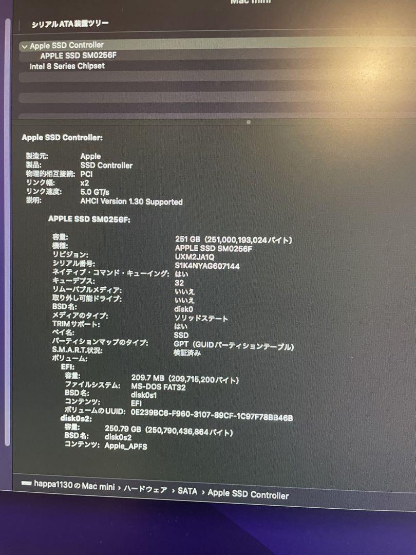 i5 2.6GHz|メモリ16MB|SSD256GB