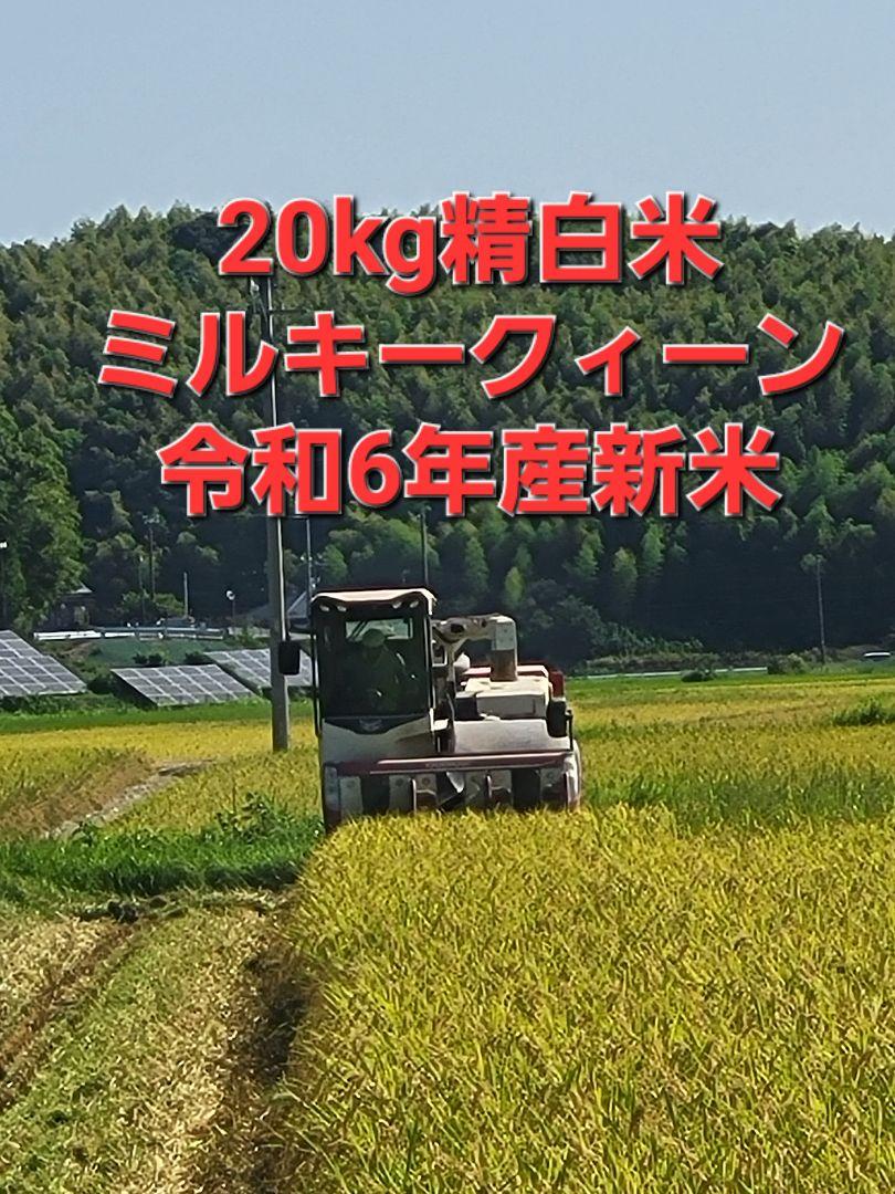 20kg精白米ミルキークィーン特別栽培米令和6年産新米6年産