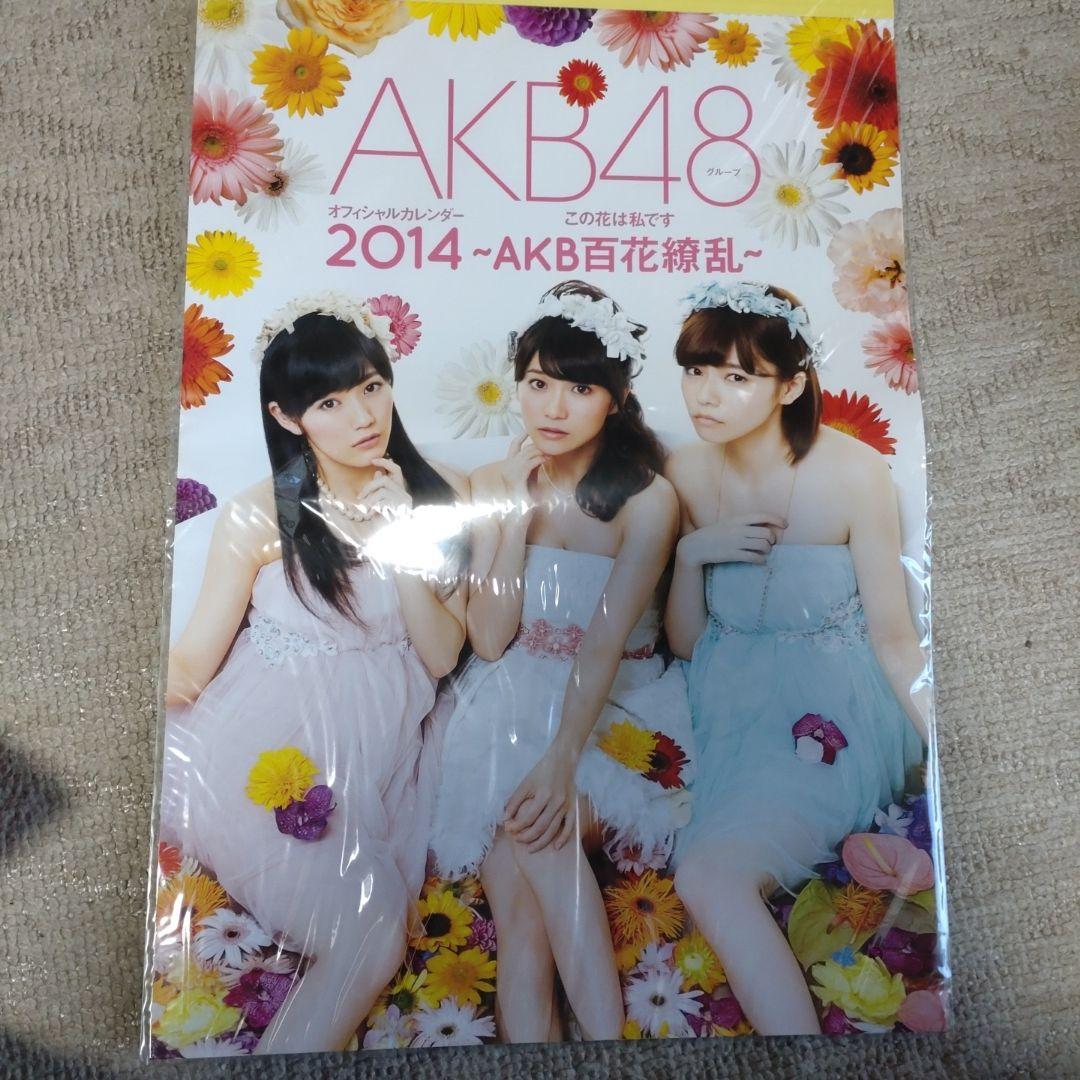 2014〜2019 コンプ　生写真　AKB48 グループ　オフィシャルカレンダー 2014〜2019 コンプ 生写真 AKB48 グループ オフィシャルカレンダー