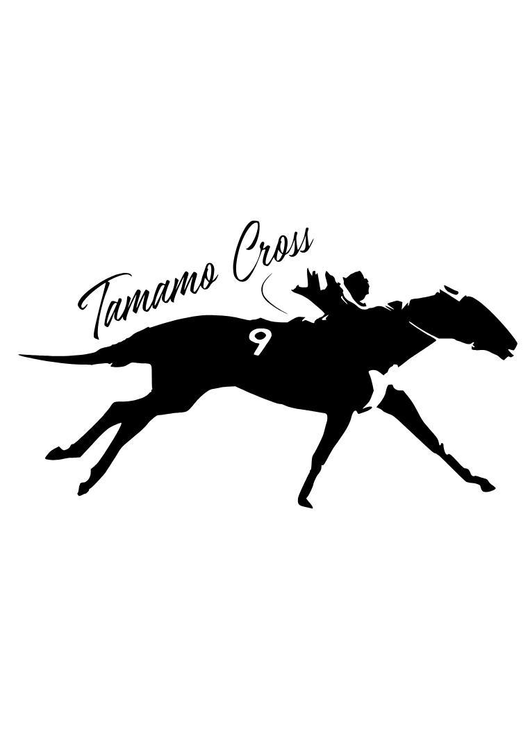 競馬ステッカー　タマモクロス