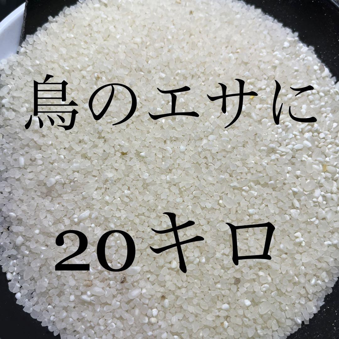 ヨドバシ.com - アリメペット NSKPE404 [大好きん 小鳥用