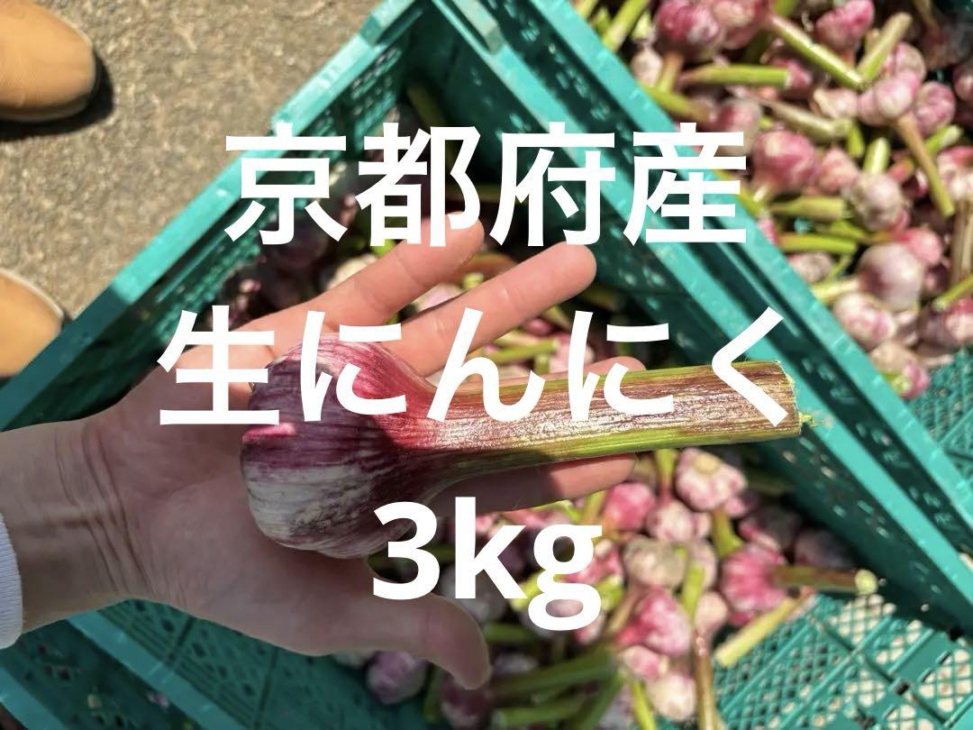 京都府産　生にんにく　3kg