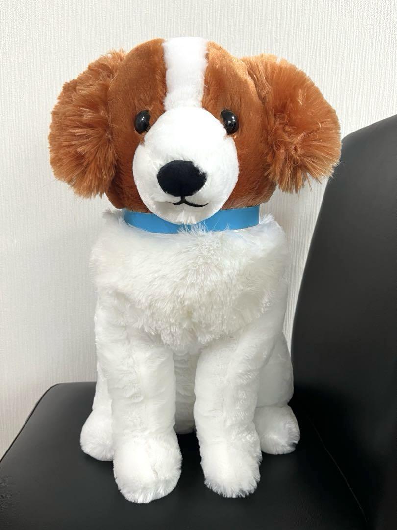 コーイケルホンディエ　おでこちゃん　おすわりぬいぐるみ ≪11月の新商品≫コーイケルホンディエのおでこちゃん-NEW ITEM