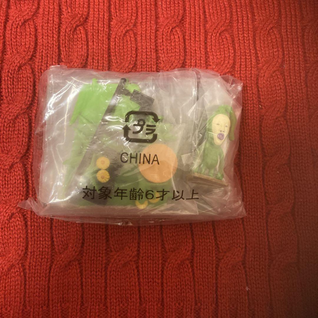 こびとづかん 飼育セット 全5種セット