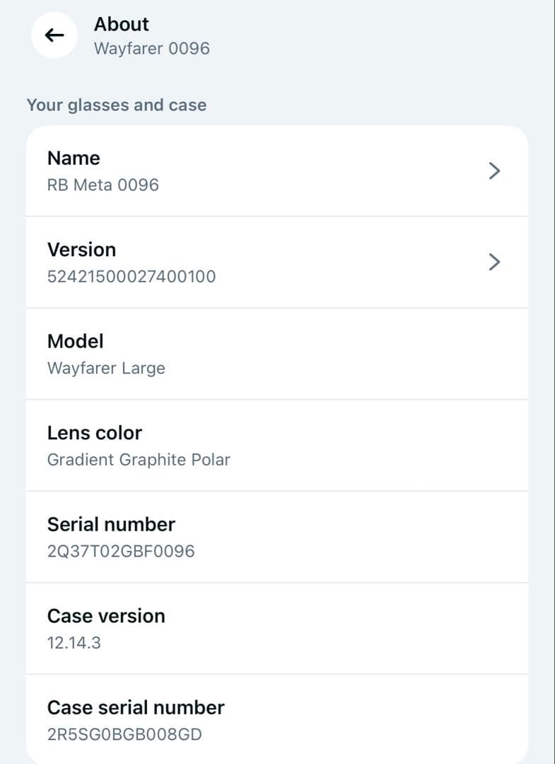Ray-Ban Ray-Ban Meta Wayfarer 調光レンズ