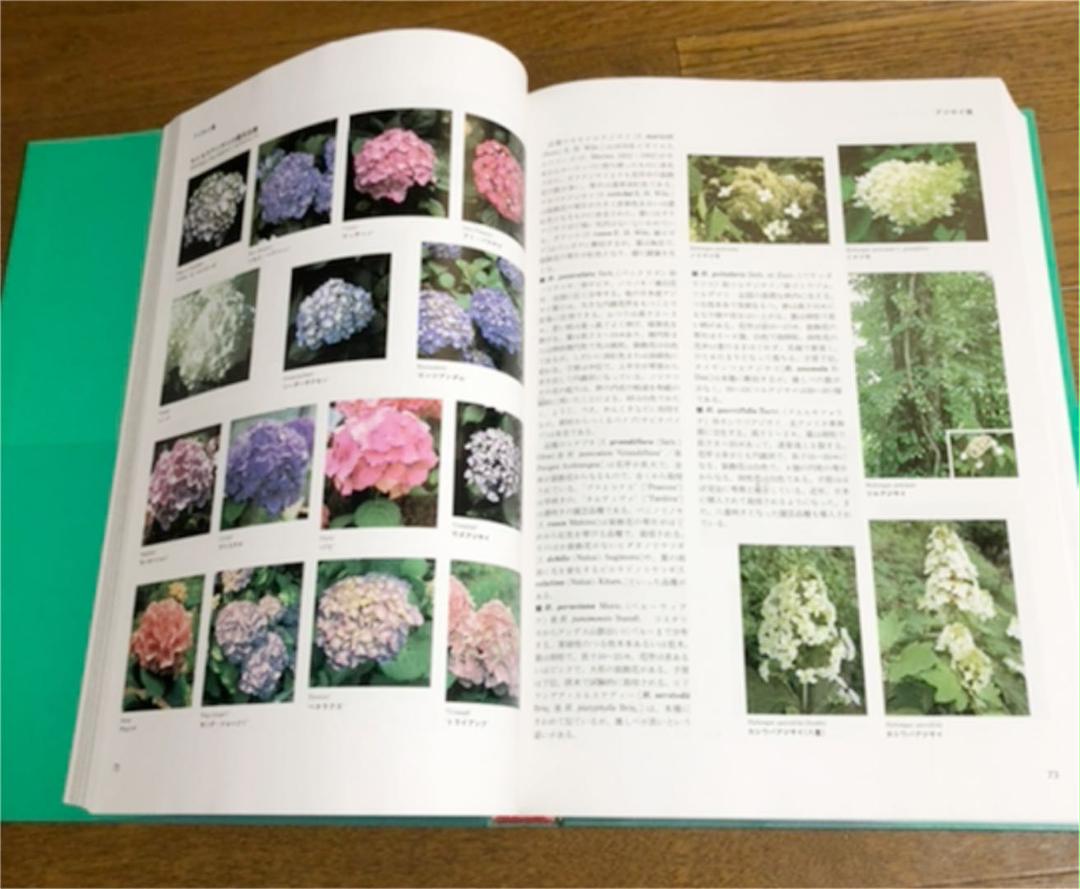 全ての 【小学館】植物辞典全6冊 園芸植物大事典〔コンパクト版〕(