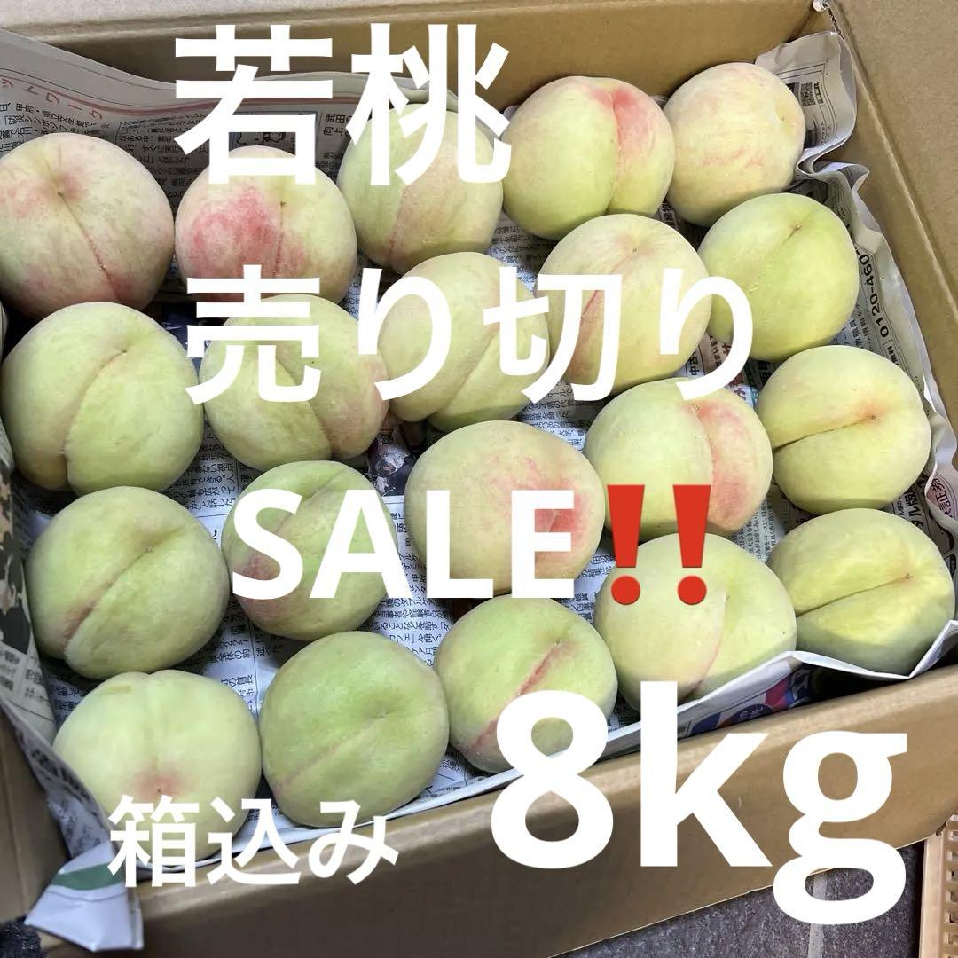 本日ラスト‼️SALE中 本日発送 若桃 箱込み8kg❌コンビニ払い❌