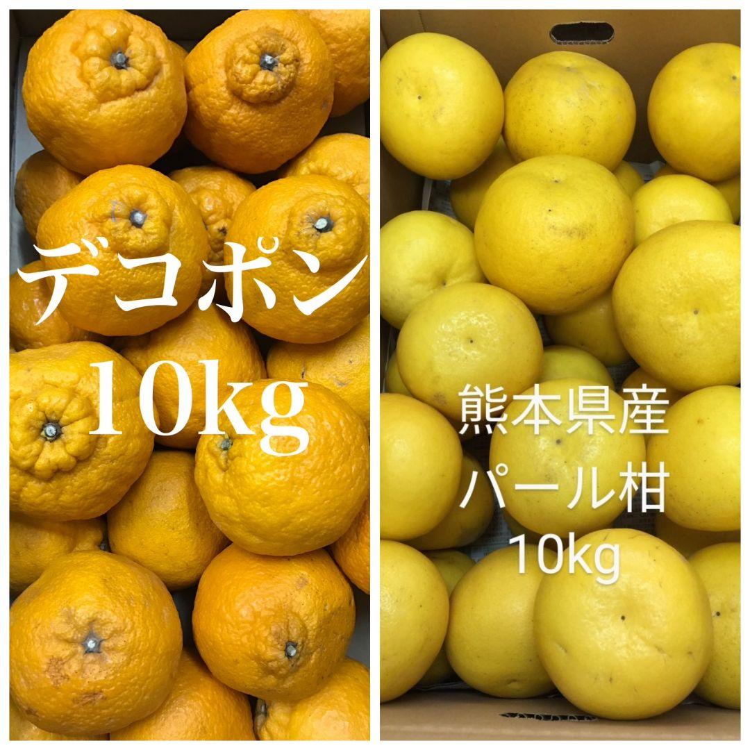 【熊本県産】不知火みかん デコポン 家庭用 訳アリ約10kg+パール柑約10kg