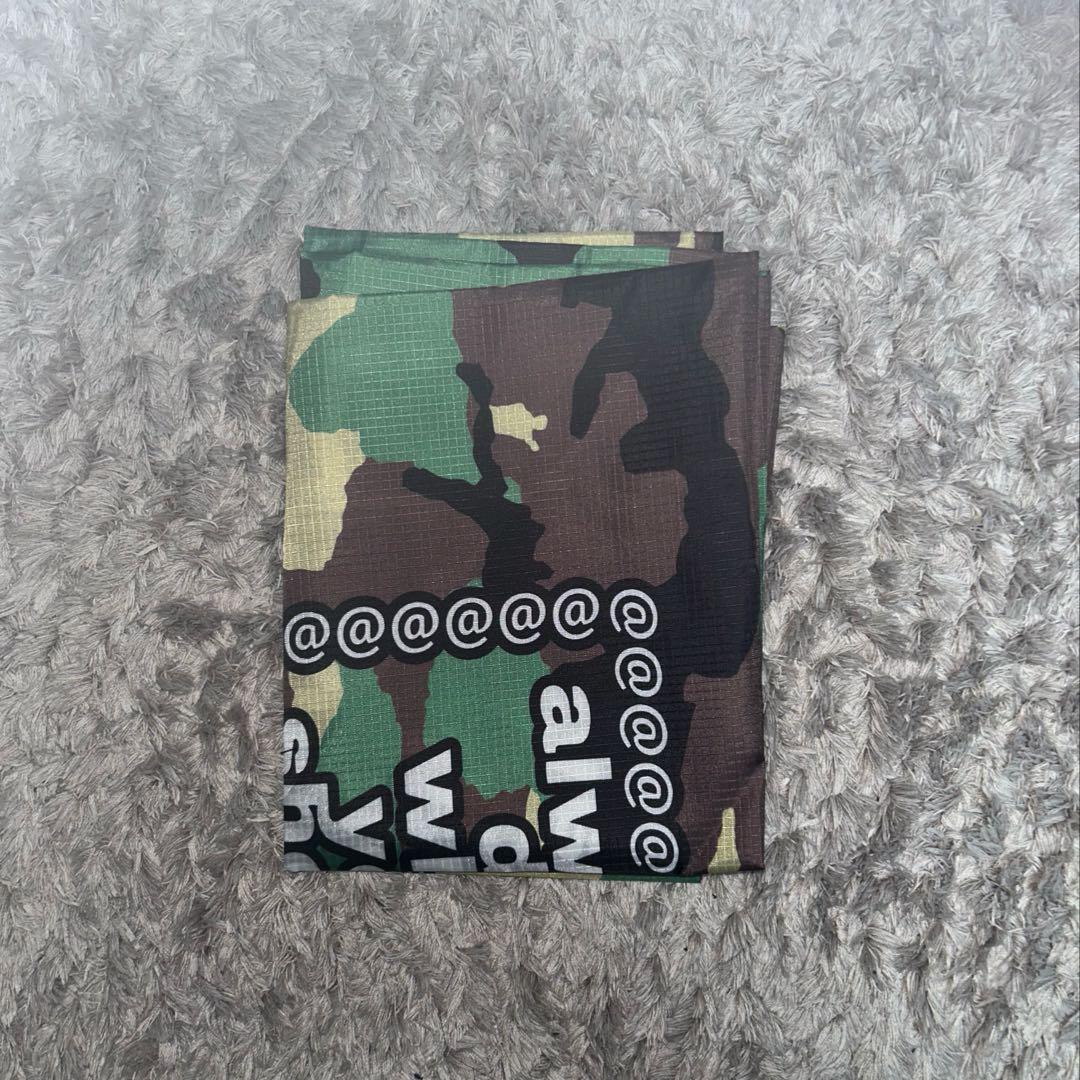 Always do what you should you bag