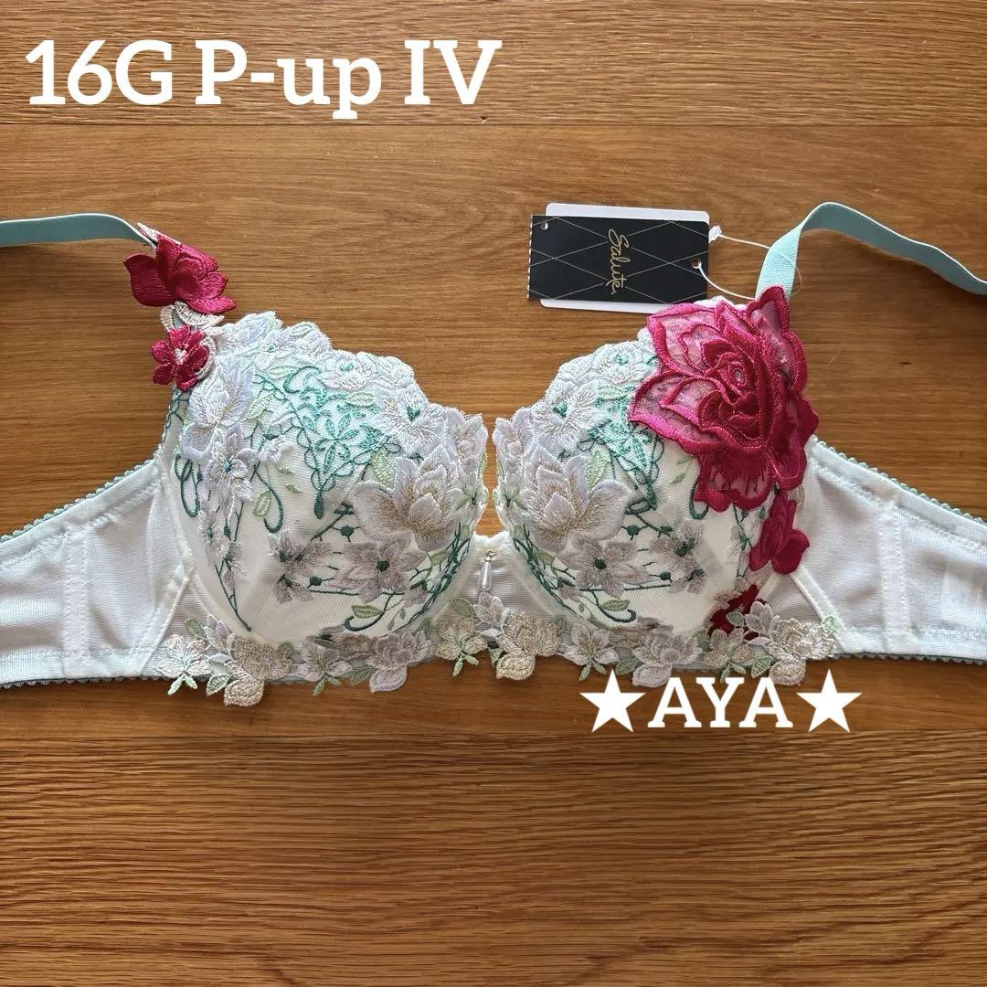 最新作 サルート 16 IV P-upブラ&ソング
