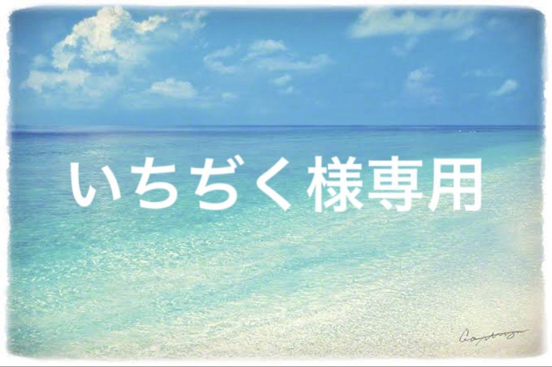いちぢく様専用